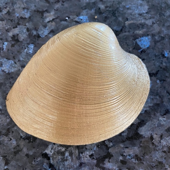 Hostess Gift! PICKLEBALL gilded clam shell - Picture 2 of 2